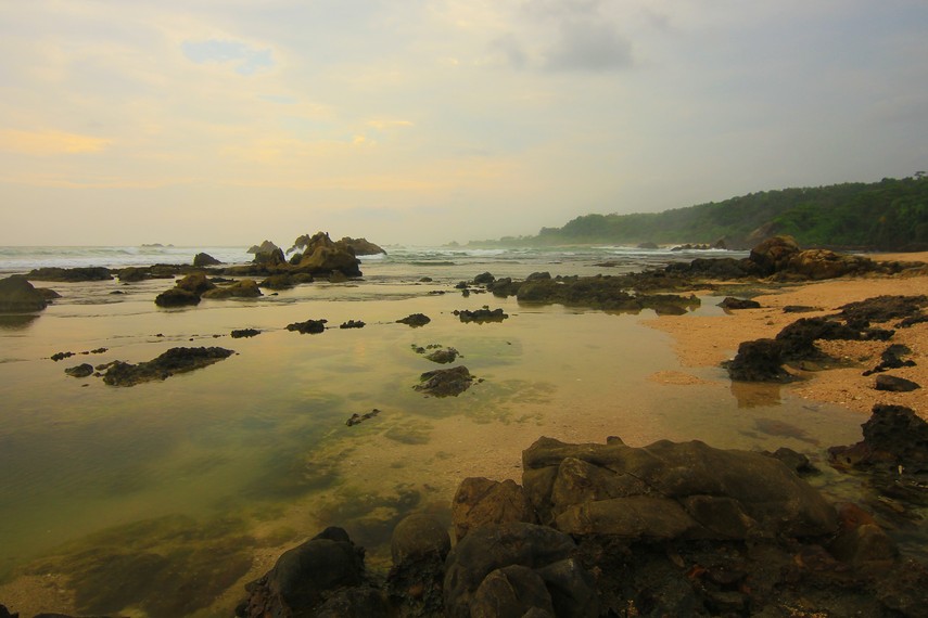 Dengan luasnya yang mencapai sekitar 3 hektar, membut Pantai Karang Songsong menjadi terasa begitu sejuk untuk dinikmati