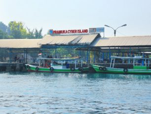 Menyaksikan Penangkaran Penyu di Pulau Pramuka