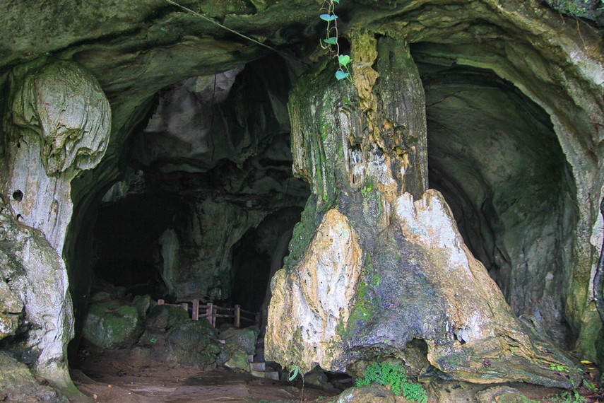 Mulut gua yang menjadi pintu keluar dari dalam Gua Ngalau Indah