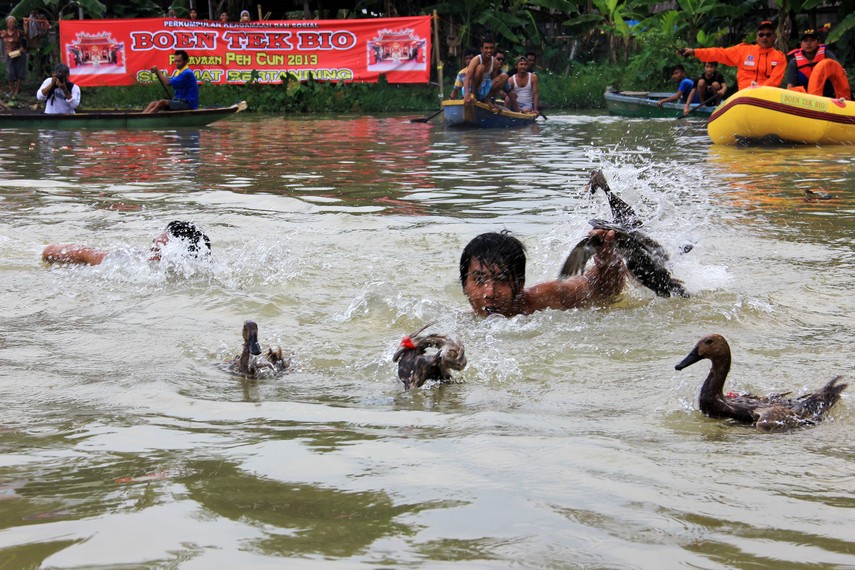 Seorang peserta berusaha mengejar bebek yang bergerak lincah di air