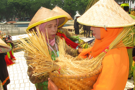Padi-padi hasil panen yang akan dijadikan persembahan untuk raja sang penyelamat Barong
