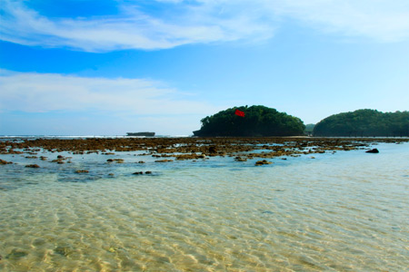 Selain pemandangannya indah, Pantai Balekambang juga memiliki air yang jernih