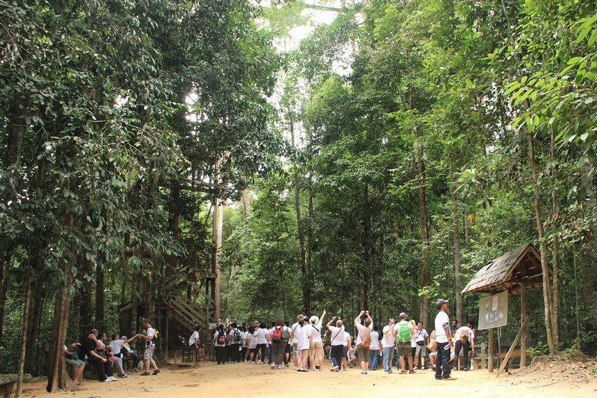 Sepanjang jalan menuju jembatan kanopi, pengunjung dapat menikmati teduhnya hutan tropis yang masih asri