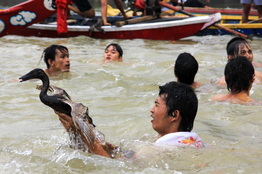 Seorang peserta berhasil menangkap seekor bebek dalam tradisi lempar bebek di Sungai Cisadane