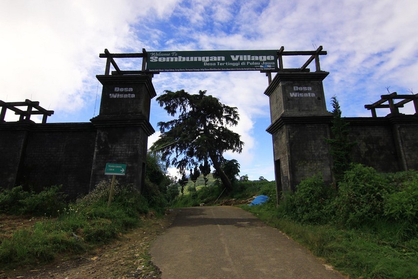 Desa Cebongan yang berada di ketinggian sekitar 2.100 mdpl merupakan desa tertinggi di Pulau Jawa
