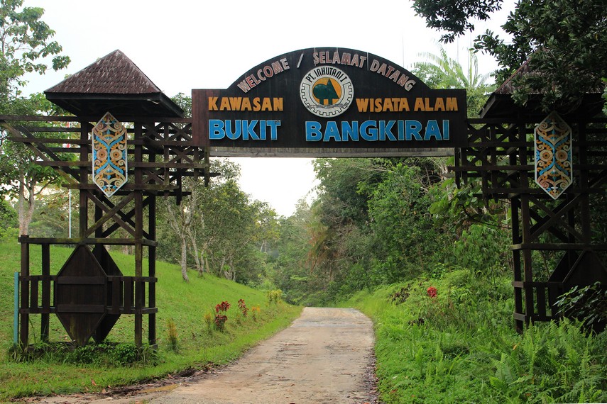 Kawasan wisata alam Bukit Bangkirai terletak kurang lebih 58 kilometer dari Kota Balikpapan