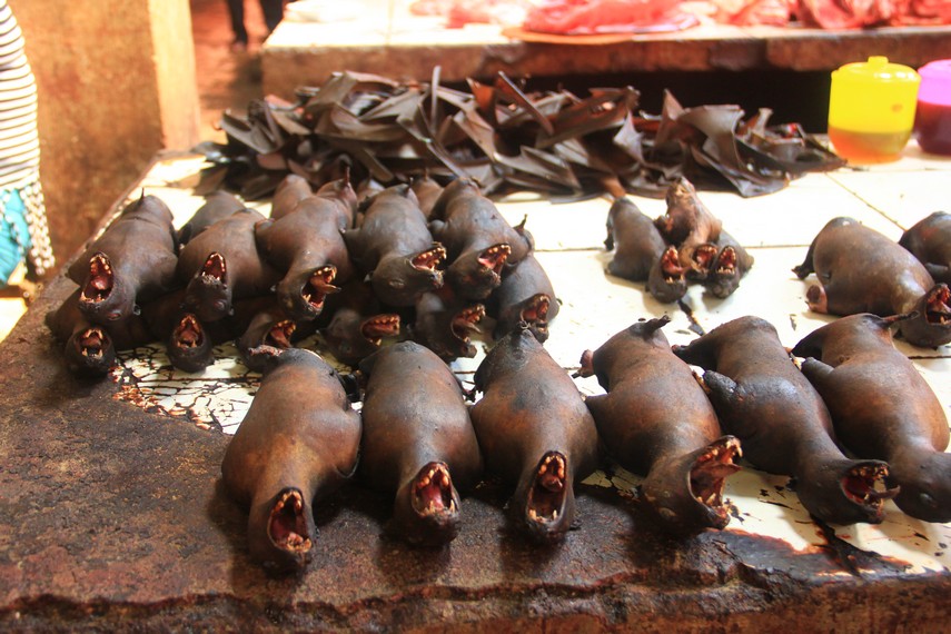 Paniki makanan khas Sulawesi Utara yang  menggunakan daging kelelawar sebagai bahan utamanya