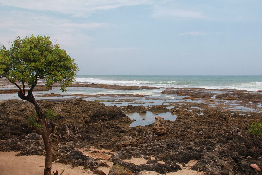 Pantai Pasir Putih Cihara terletak di Daerah Cihara, Kabupaten Lebak, Banten