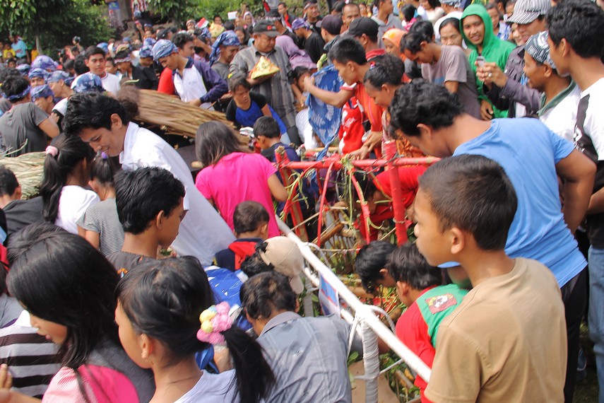 Parebut Dongdang Hasil Bumi merupakan acara puncak dalam tradisi Seren Taun di Kampung Budaya Sindang Barang