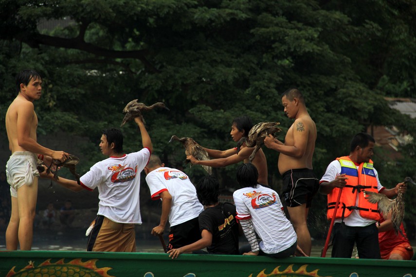 Tak ada yang menang dan kalah dalam lomba menangkap bebek, tapi peserta berhak memiliki bebek yang berhasil didapatnya