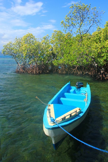 Pulau Bohanga menjadi pulau yang tenang dan hening seperti merasakan sebuah pulau pribadi yang  jauh dari keramaian