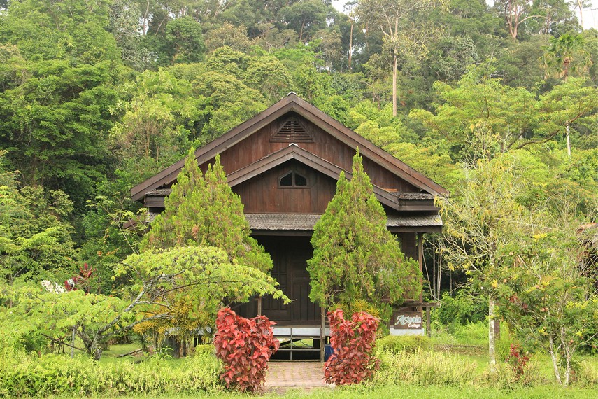 Kawasan hutan konservasi yang terletak di Kecamatan Samboja, Kutai Kartanegara ini dikelola oleh PT. Inhutani I