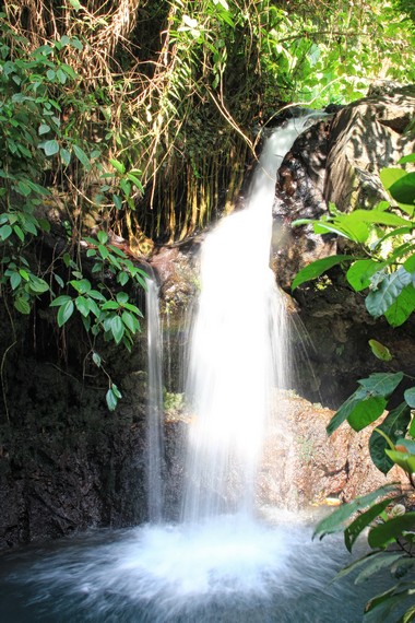 Air terjun di kawasan ini berasal dari mata air Longon di Kaki Gunung Raung