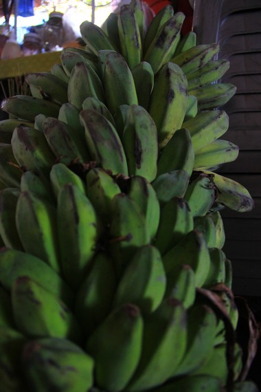 Pisang dipilih dari jenis pisang kepok, pisang kepok dinilai mempunyai daging yang tebal dan dianggap mempunyai rasa yang lebih manis