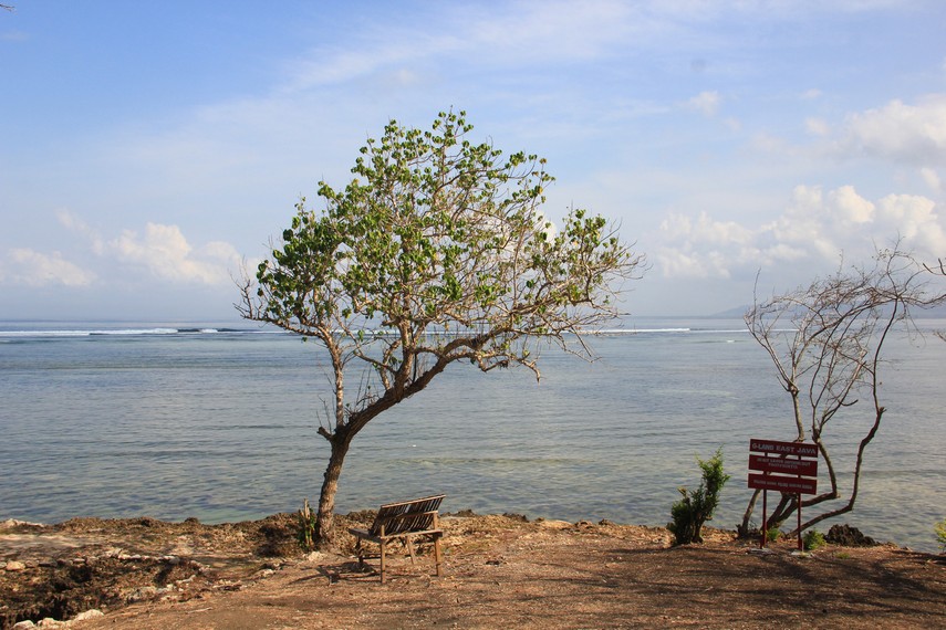 Pantai Plengkung menjadi pantai yang cocok bagi mereka yang mendambakan berlibur di alam raya yang hening dan jauh dari keramaian