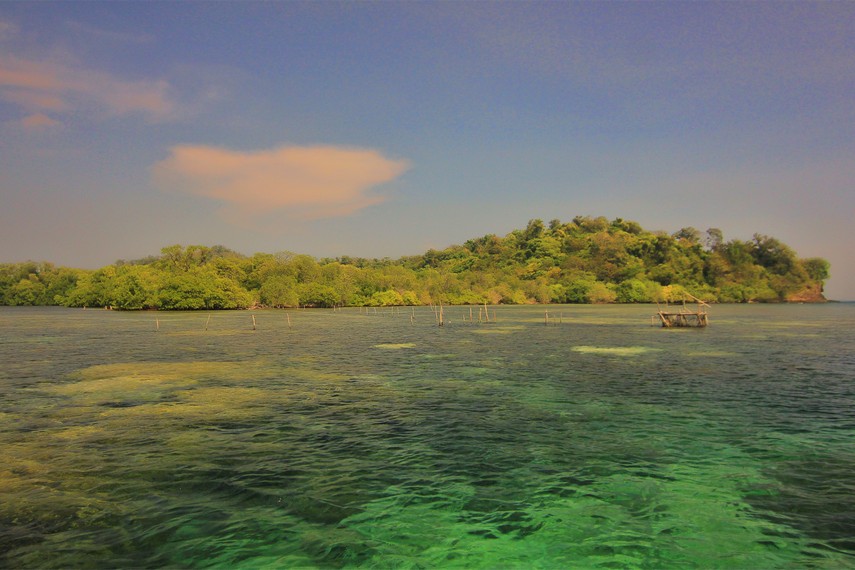 Alam Pulau Sangiang terbagi dalam 3 ekosistem yang mencakup hutan daratan rendah, hutan pantai, dan hutan payau