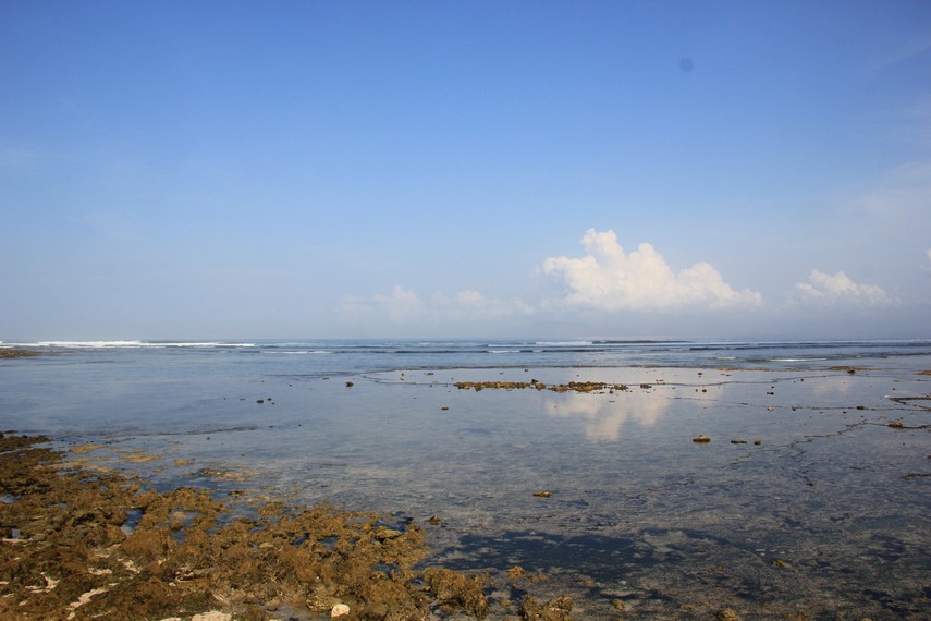Pantai Plengkung memiliki ombak yang menawan. Tidak heran jika pantai ini menjadi salah satu favorit para surfer untuk  berselancar