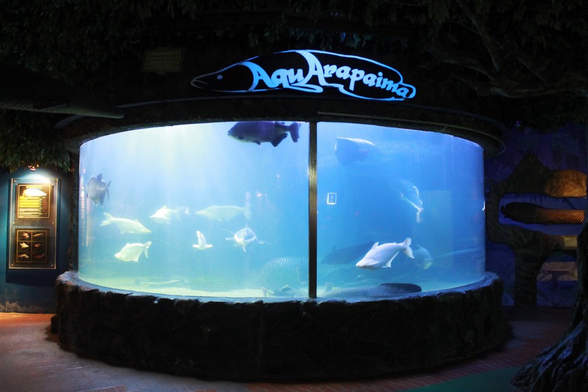 Setiap akuarium di Sea World Indonesia dilengkapi penjelasan sebagai bahan informasi kepada pengunjung