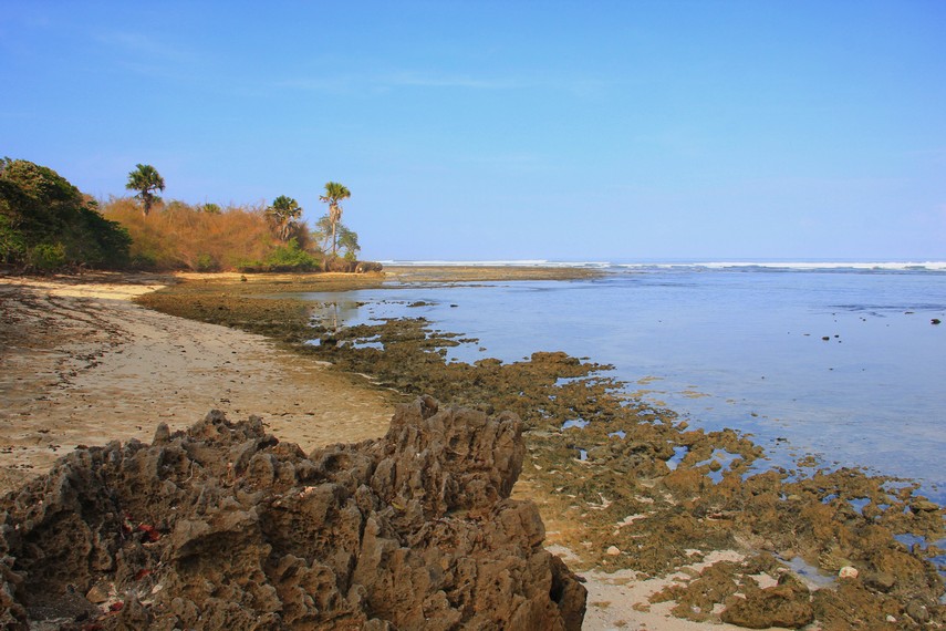 Menurut pihak Taman Nasional Alas Purwo, bulan Mei-Oktober merupakan waktu yang tepat untuk berselancar di Pantai Plengkung