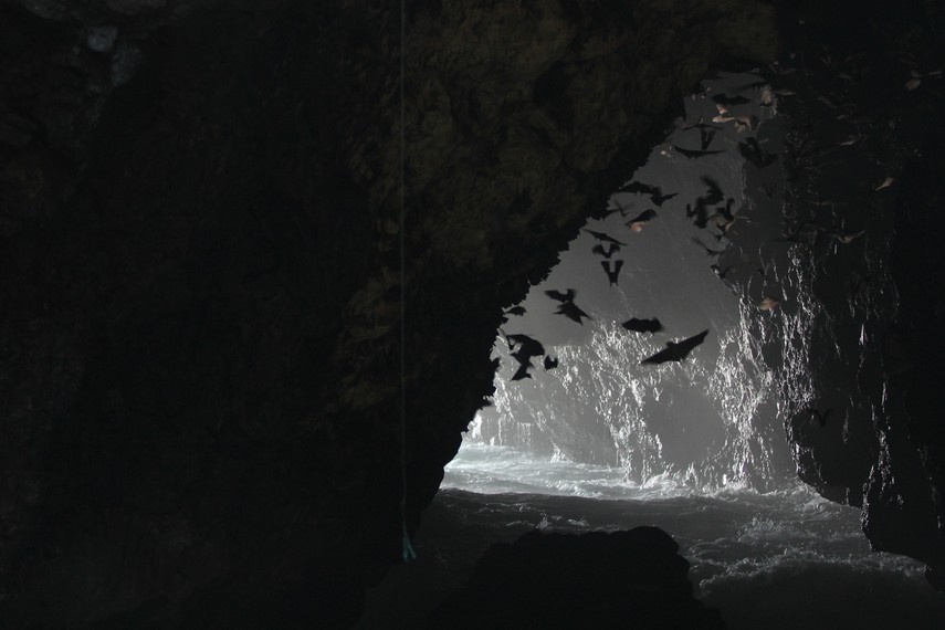 Gua  Kelelawar ini dihuni oleh ribuan kelelawar yang berterbangan di sekitar gua