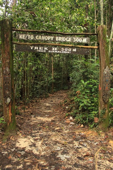 Gerbang menuju Trek II (Trek Djamaludin) yang akan membawa pengunjung menuju jembatan kanopi