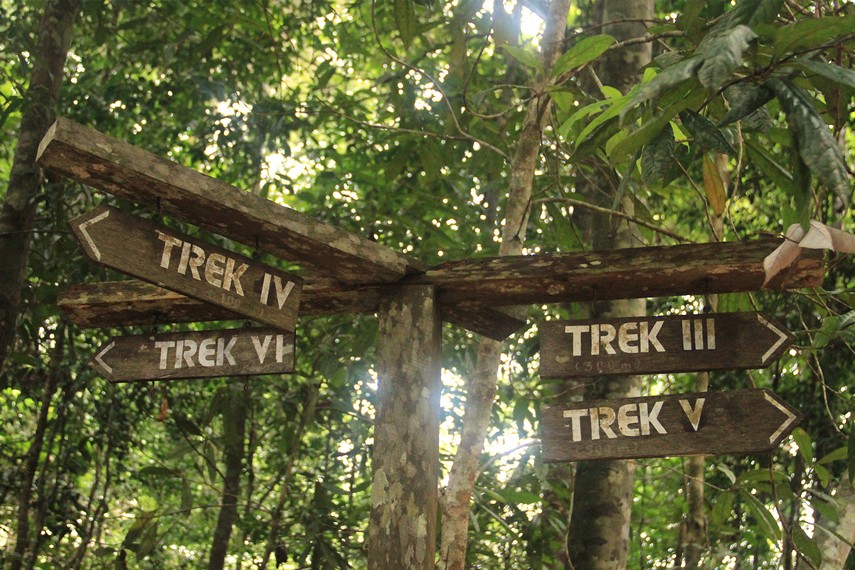 Ada beberapa trek atau rute setapak yang dapat dilalui pengunjung, tetapi yang paling sering digunakan adalah Trek I dan II