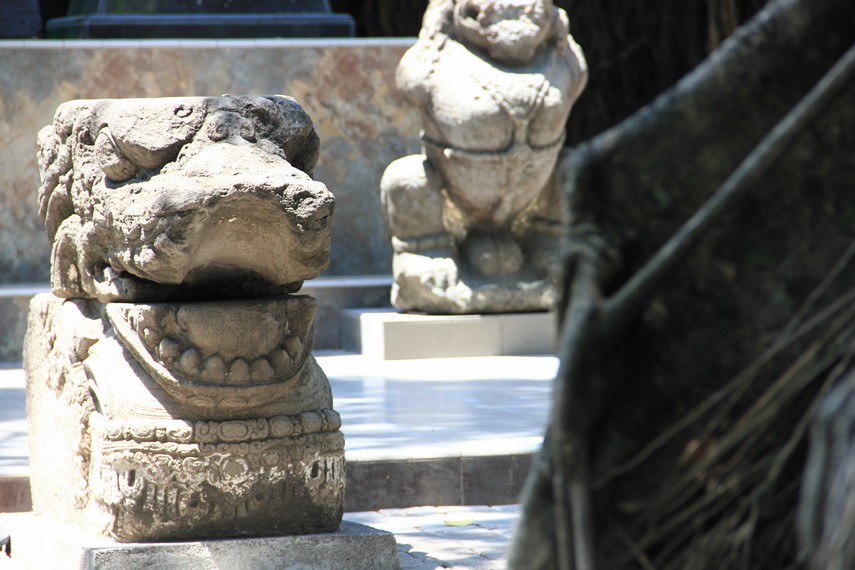 Selain terdapat bangunan utama berupa arca perwujudan Prabu Kertanegara, situs ini juga memiliki beberapa arca salah satunya arca singa