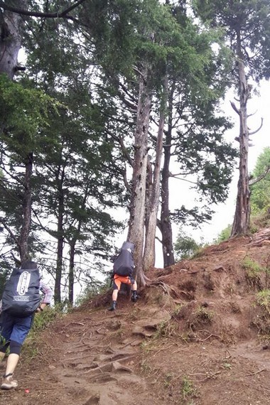 Jalur pendakian yang sedikit curam menjadi tantangan bagi para pendaki untuk menaklukan Gunung Prau