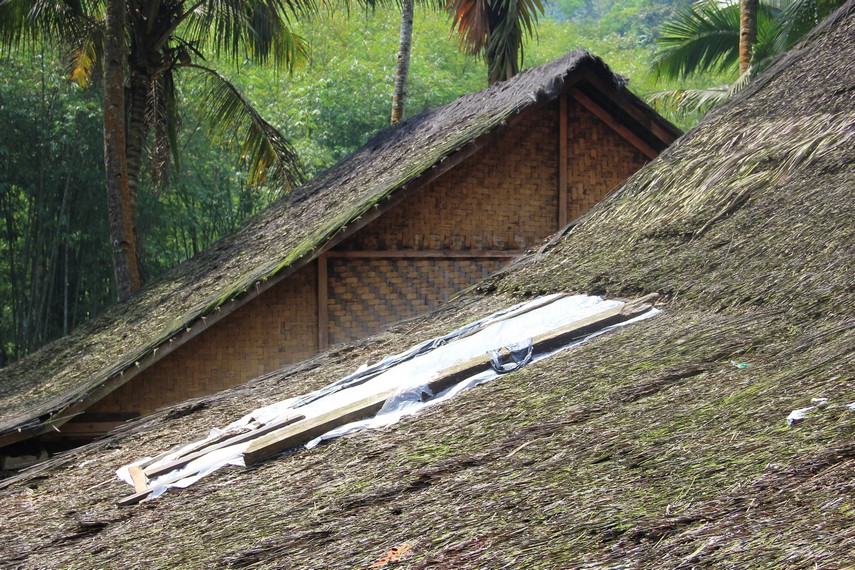 Untuk atap, rumah adat Suku baduy menggunakan ijuk yang terbuat dari daun kelapa yang telah dikeringkan