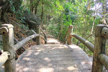 Pengunjung harus berjalan kaki sekitar 200 meter menuruni anak tangga dengan pemandangan pepohonan di sepanjang perjalanan untuk sampai ke air terjun ini