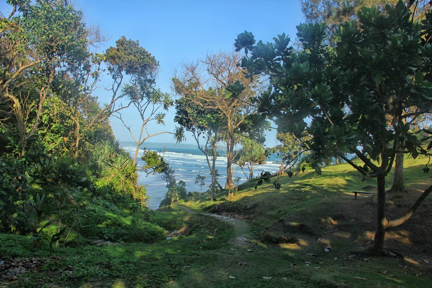 Jalan setapak yang dikelilingi pepohonan rimbun menuju ke arah Pantai Karang Nini