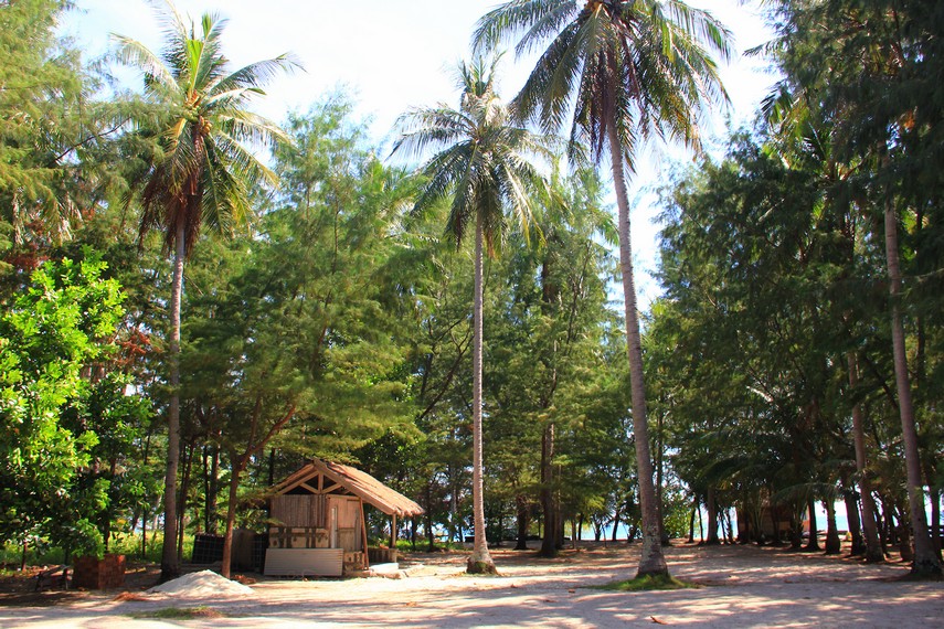 Pulau Menjangan Kecil dikelilingi pepohonan yang memberikan nuansa kesejukan bagi pengunjung