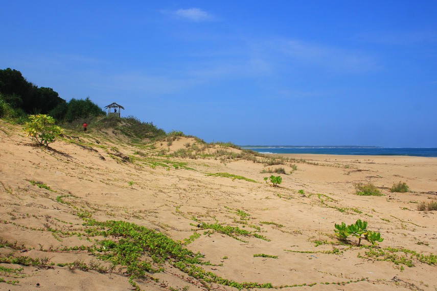 Pantai ini juga memiliki pasir yang bertekstur lembut dan sangat nyaman saat kaki kita menyentuhnya