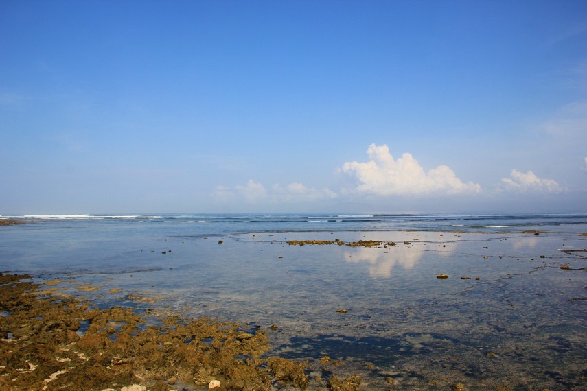 Pantai Plengkung juga terdapat penangkaran penyu yang dikelola langsung oleh pihak Taman Nasional Alas Purwo