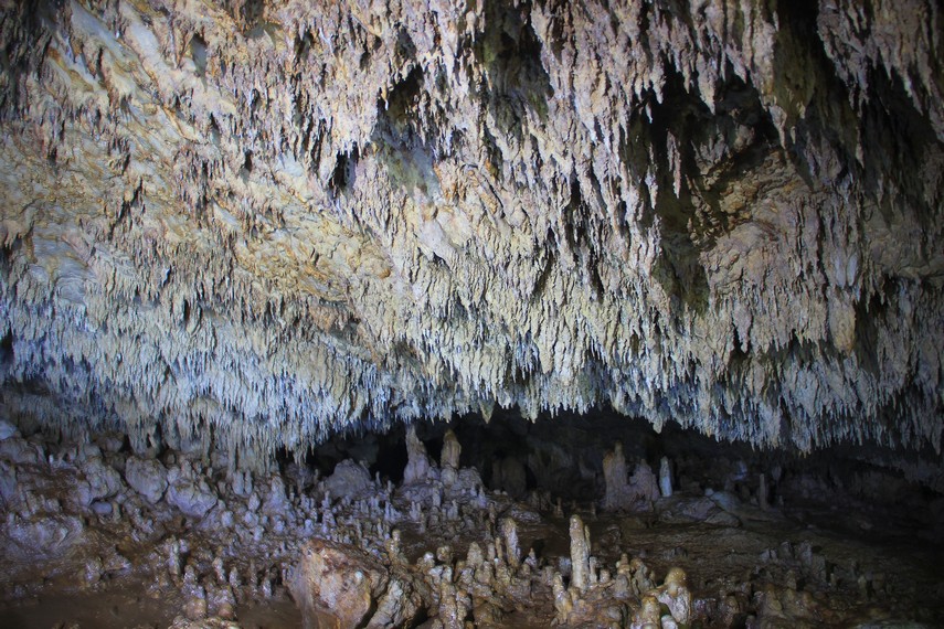 Menjelajahi Gua Langir sebaiknya 50 meter dari mulut gua karena gua ini masih terlihat bahaya untuk dijelajahi