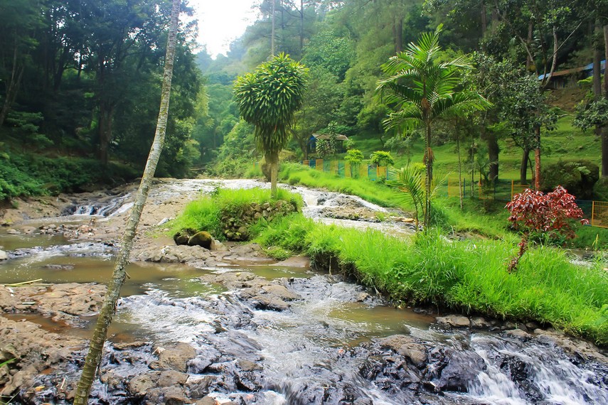 Aliran air sungai di sekitar Curug Omas