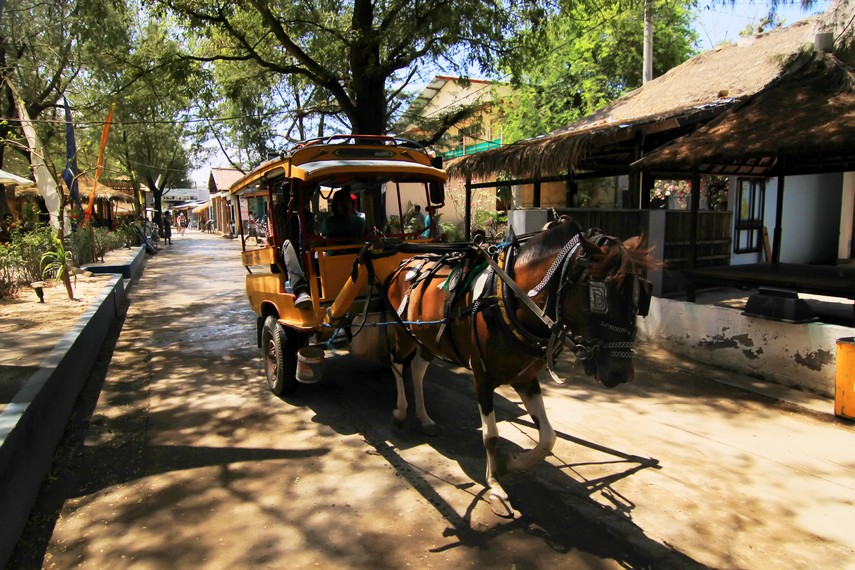 Cidomo alat transportasi utama bagi para pengunjung ketika berada di Gili Trawangan