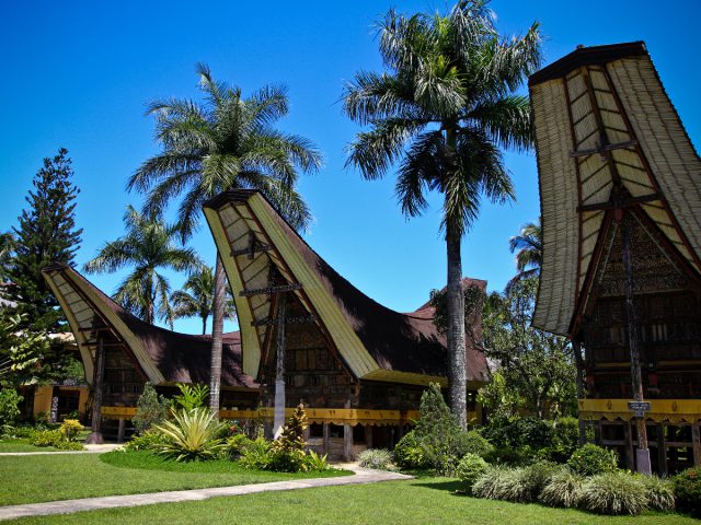 Passiliran: Pemakaman Bayi di Dalam Pohon Khas Tana Toraja