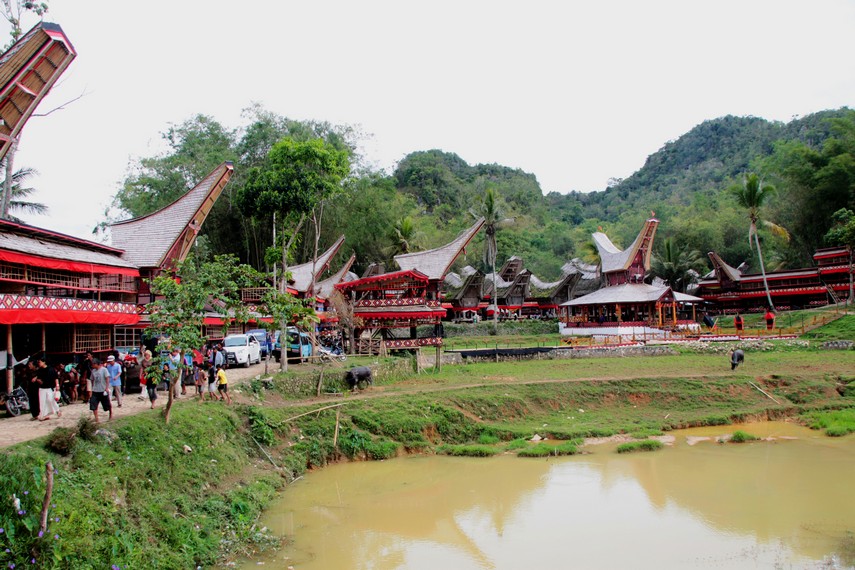 Di desa adat Kete Kesu, terdapat 12 tongkongan dengan satu tongkonan utama