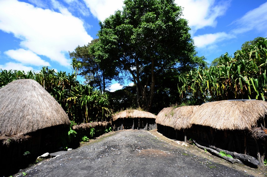 Di sisi kanan terdapat Hunila, sejenis Honai panjang yang digunakan sebagai dapur dan tempat menyimpan persediaan makanan