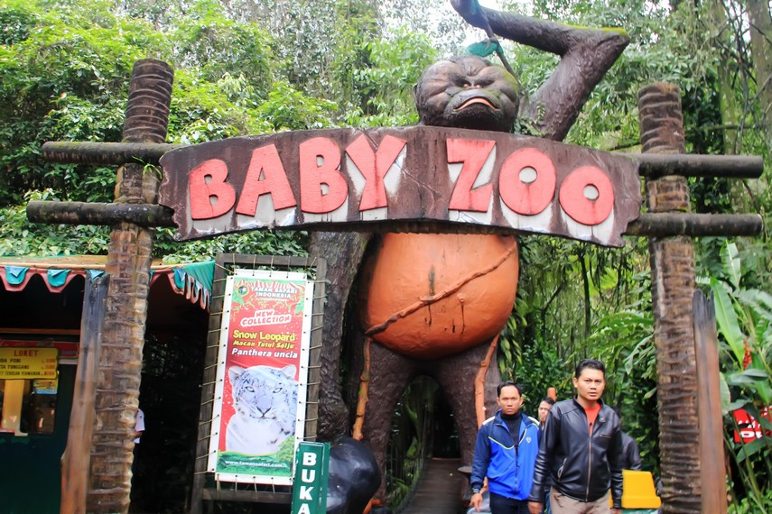 Di wahana Baby Zoo, pengunjung bisa berpose dengan berbagai bayi hewan liar, seperti harimau, orang utan, macan tutul, singa, hingga kangguru Australia