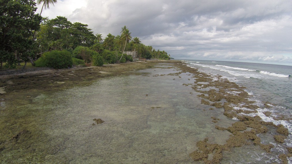 Gugusan karang yang menjadi bagian utama ekosistem Pantai Namalatu