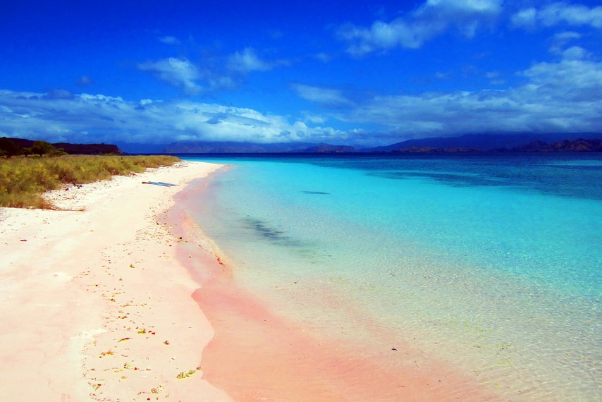 Hamparan pasir berwarna merah muda di salah satu sudut Pulau Padar