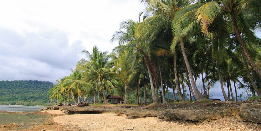 Pulau tak berpenghuni ini dihiasi oleh pohon-pohon kelapa yang tinggi menjulang