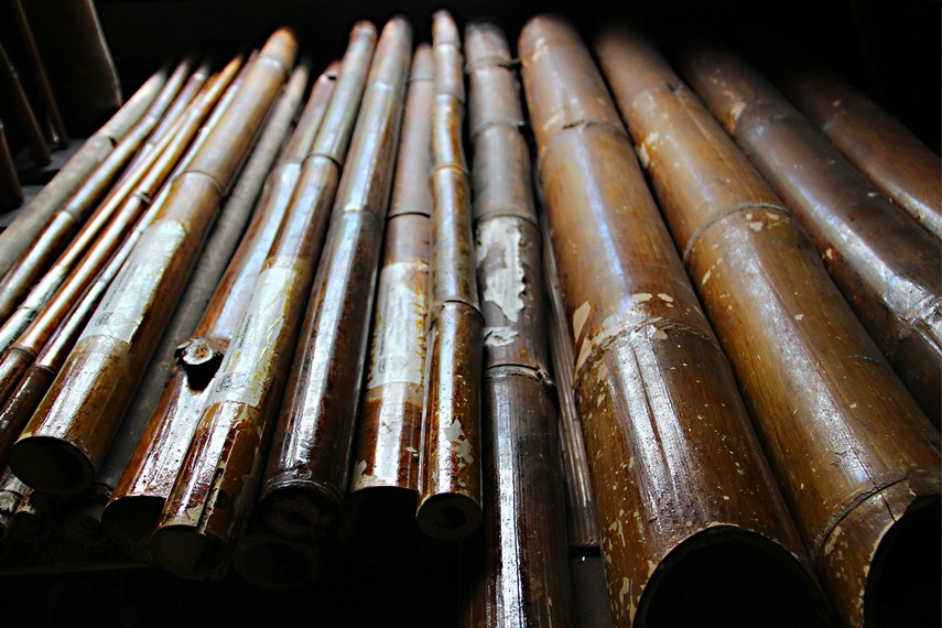 Jenis-jenis bambu yang menjadi koleksi museum Tuah Himba