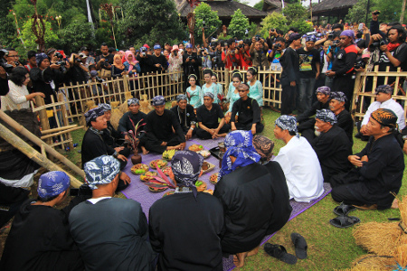 Majikeun Pare merupakan ritual puncak dalam tradisi Seren Taun di Kampung Budaya Sindang Barang
