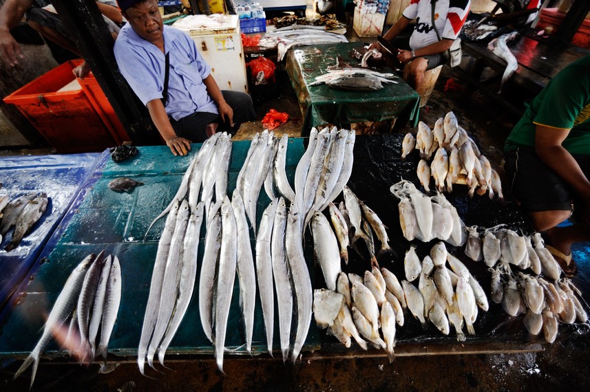 Ikan-ikan ini dijual dengan cara dibaringkan di atas meja penampang