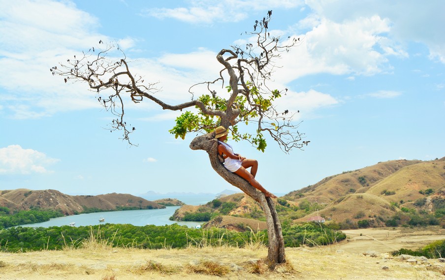Keberadaan solo tree yang menjadi daya tarik di Pulau Rinca