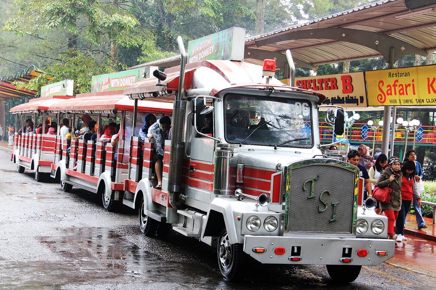 Kereta Safari, alat transportasi gratis yang bisa digunakan untuk berkeliling menikmati vegetasi hutan hujan tropis di Taman Safari Bogor