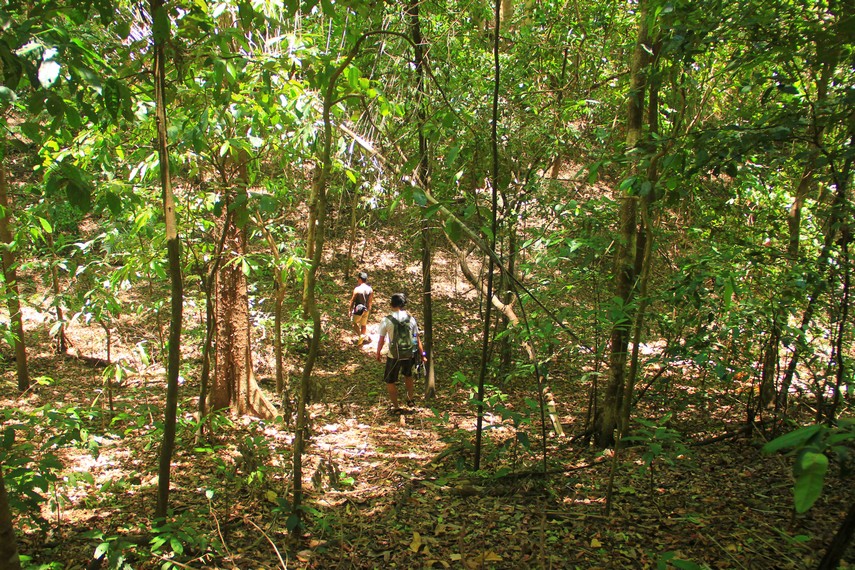 Kontur di dalam hutan yang naik-turun membuat pengunjung harus memiliki tenaga ekstra untuk menyusuri taman hutan ini